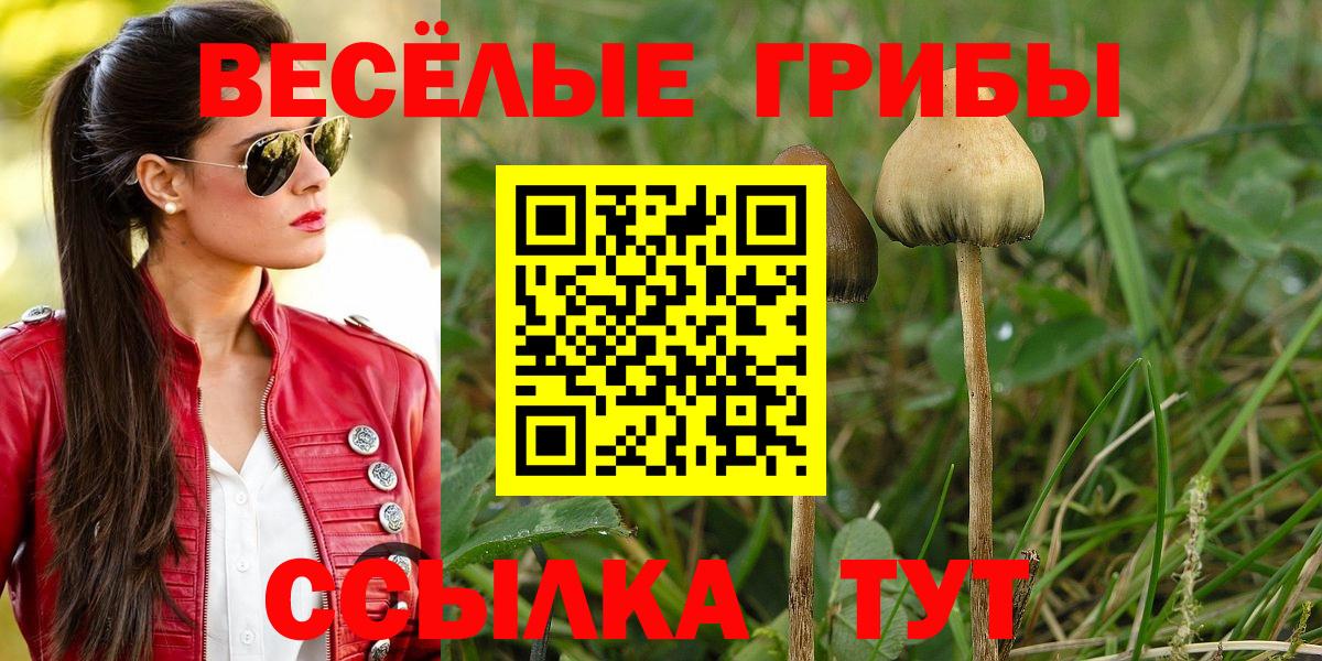 Галлюциногенные грибы Cubensis  Галлюциногенные грибы MAGIC MUSHROOMS  Вход с VPN  Заинск 